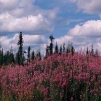 男人生活的使命是什么？