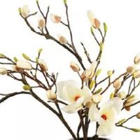 2022年五一劳动节假期搬家黄道吉日一览表