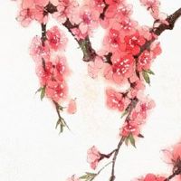 2022年地球日是几月几号星期几 地球日的来历及意义