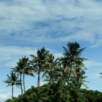 如何在12月获得一个好名字