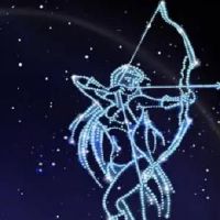 在周围称重(射手下最准确的财富)射击