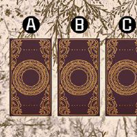 精密塔罗牌制作最新财富