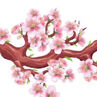 2022年5月最宜嫁娶的日子 结婚出嫁好日子