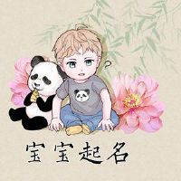 康姓，王朝，一代，名称，成功的名字