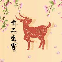 最适合的是什么，最适合婚姻是什么？