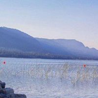 啥啥字人有一个好运