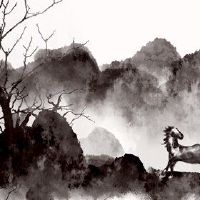 在2023年，Merly桃花是几个月内最受欢迎的。