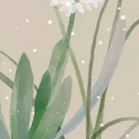 2022年4月3日出生属虎男宝宝命运好吗 质朴纯洁 衣禄不愁