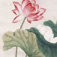 任何人都斗不过的星座 处女座强势霸道你会喜欢吗