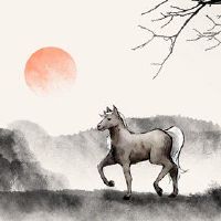 这匹马是2022年6月最佳的财富表现。