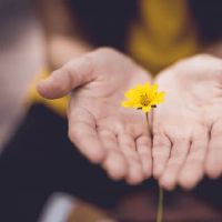 不同的财富线的金融生活是什么? 2022夏龙的财富财富