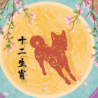 今年,狗的财富和运气已经上升了2022财年。