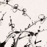 鼠人2022年全年运程 运程良好稳步上升