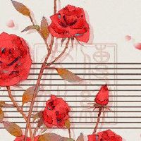 十二生肖猴子女性在他们的生活中没有祝福，我应该如何改善？