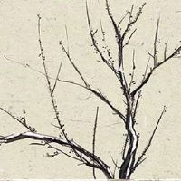 手的财运线怎么看 手中有财运线会发财吗