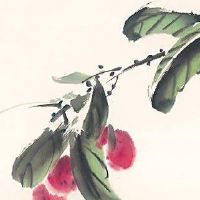 手机尾号5550好吗 最新版豹子号吉凶