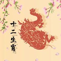 76岁的龙男2023手术详细详细详细分析