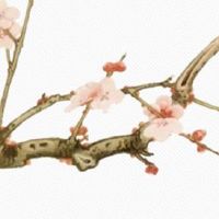 2022年生肖鸡4月的事业运怎么样 是否能升职