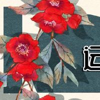 最佳升序方向2023 7月24日，财富之神