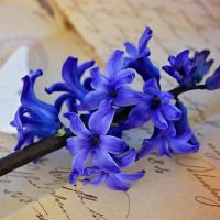 很难控制,无法控制,让人民的星座太沮丧,不能让人敢于爱