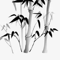 2022年4月18日出生的女宝宝八字五行查询 财运旺盛 温柔忠厚