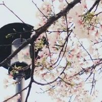 养殖场名字大全吉祥大气 热门个性养殖场名