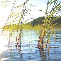 10月份是指农历月球,10月或11月?哪一年是十月