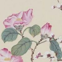 车牌号4的含义好吗 五行相符的车牌数字运势变好