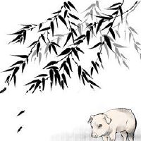 这是2023年猪的好运和财富。