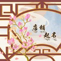 简单的女士商店高端名称推荐