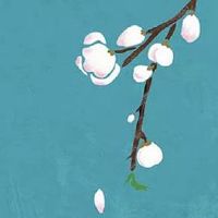 流年走到夫妻宫代表什么 天喜红鸾收获结婚喜讯