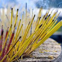 你打算生气什么?什么是观音五水果?