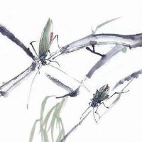 2022年4月24日出生的男孩命运好吗 一生近贵 衣食充足