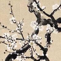 流年夫妻宫天同星 人缘好桃花重