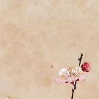 2022年属蛇的人在4月份运势盘点 本月运气好坏