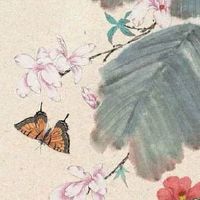 手的纹路怎么看财运 公印纹特殊的财富纹