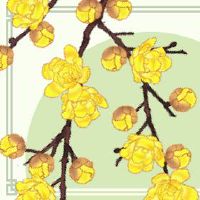 女性是非常好的,祝福,厚的八字体八字符生活,明星是使用