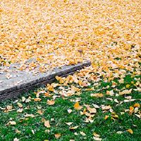 你能在2022年出葬吗？