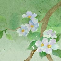 2022年农历十月上等提车吉日 买新车好日子