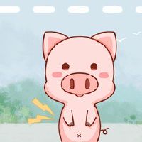 分析了猪的2023财年