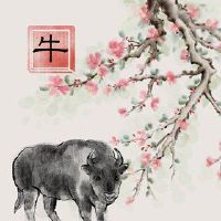 2022属于牛人和敌人的十二生肖