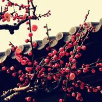 2022年生肖马4月幸运吉祥数字和颜色盘点 数字3和8为幸运数