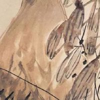 2022年五月出生的老虎是什么命 五月生的宝宝叫什么名字好