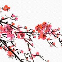 复活节出生的宝宝命运如何 在复活节出生有什么说法