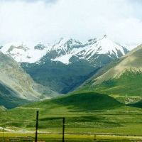 2022年虎宝宝出生在几个月内