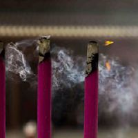 什么是和平,发烧,并注意