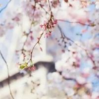 旺生意的水产店名字 好口碑的公司大全推荐