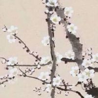 身上有仙家女人的命运 善良的人容易招仙家