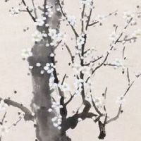 上辈子是仙女的特征 神仙都有哪些面相特征