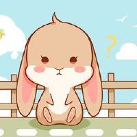 黄道带兔2022三大高加索小圆面包